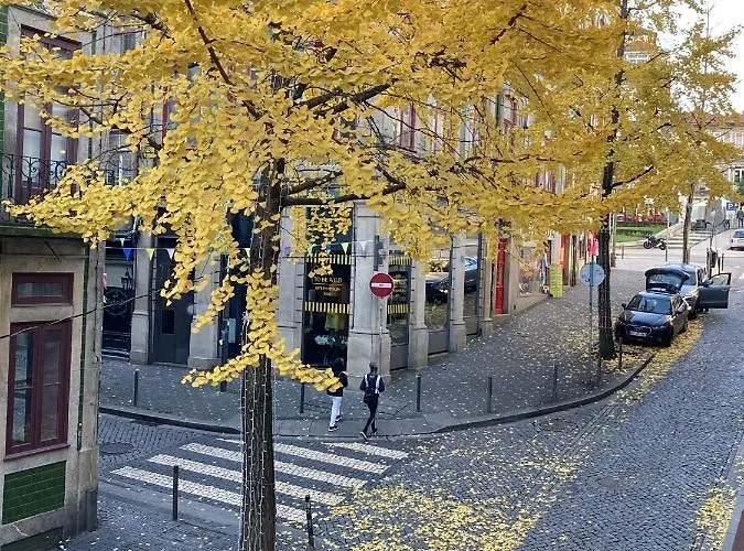 Casa Do Oficio - Livreiro * Porto